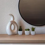 Апартаменты Oliva *